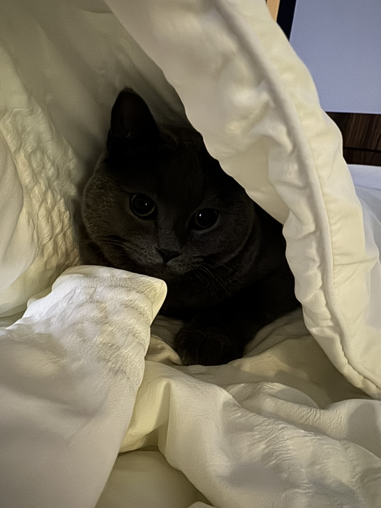 Day 1 of My Captivity
