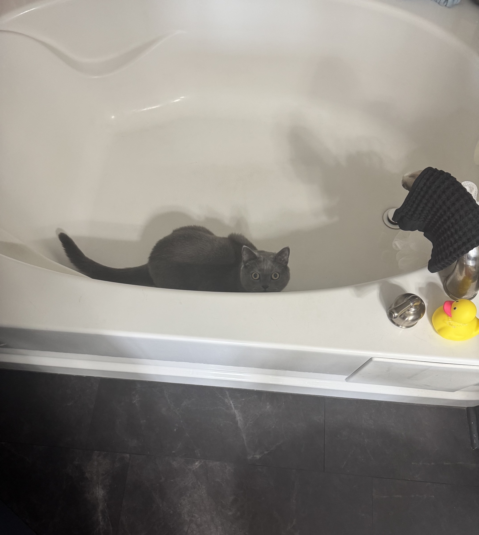 Day 10 of My Captivity: Unauthorized Site Visit