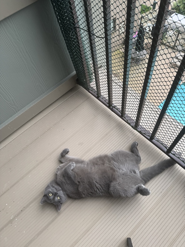 Day 12 of My Captivity: Expanding the Dataset