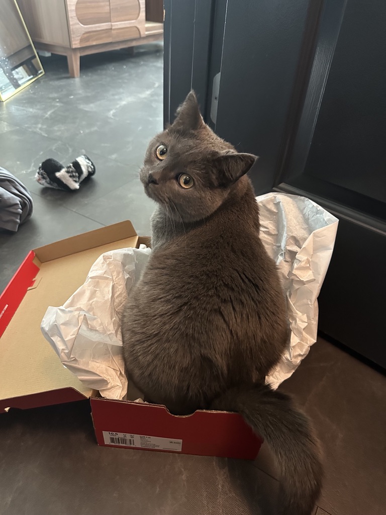 Day 14 of My Captivity: Anomaly Detected