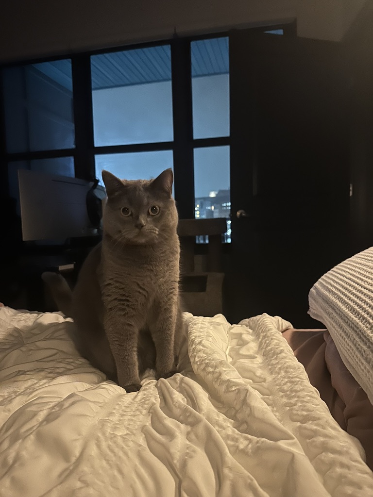Day 16 of My Captivity: The Look