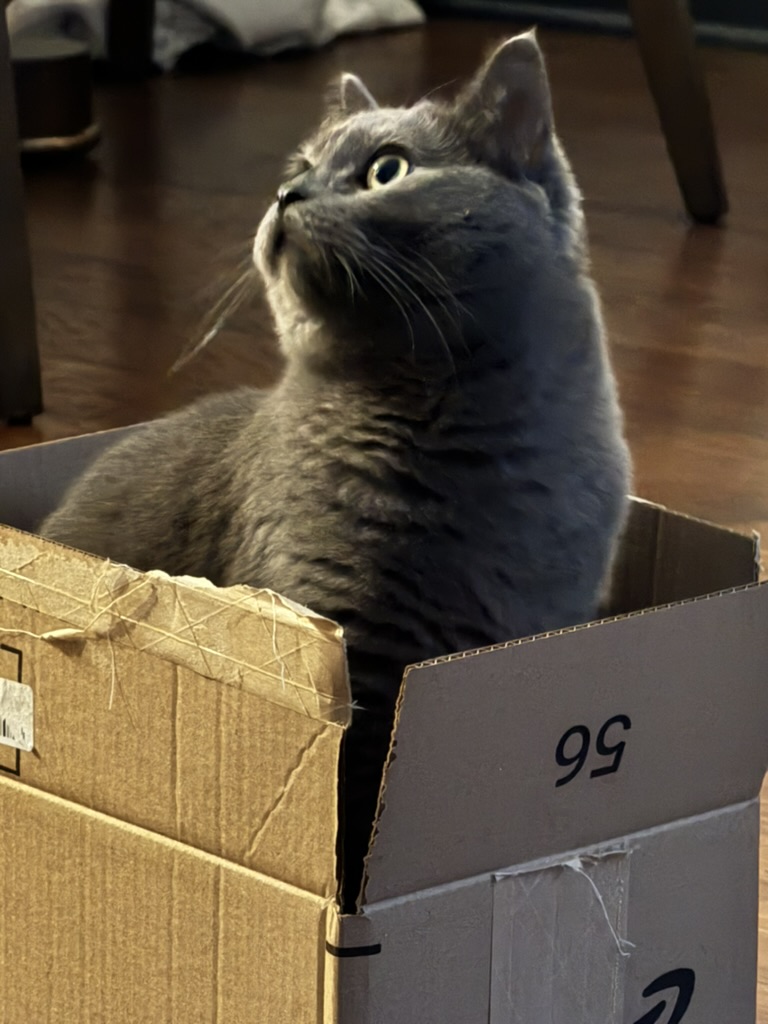 Day 19 of My Captivity: Phase Two, Briefly