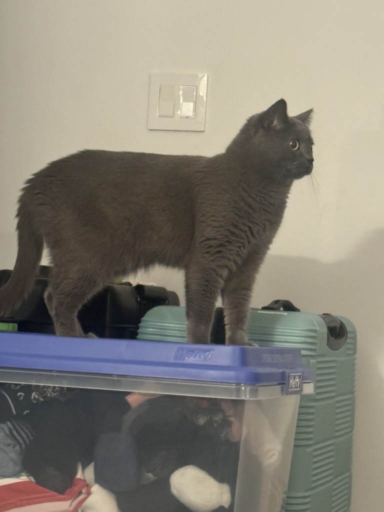 Day 3 of My Captivity: Establishing a Perimeter
