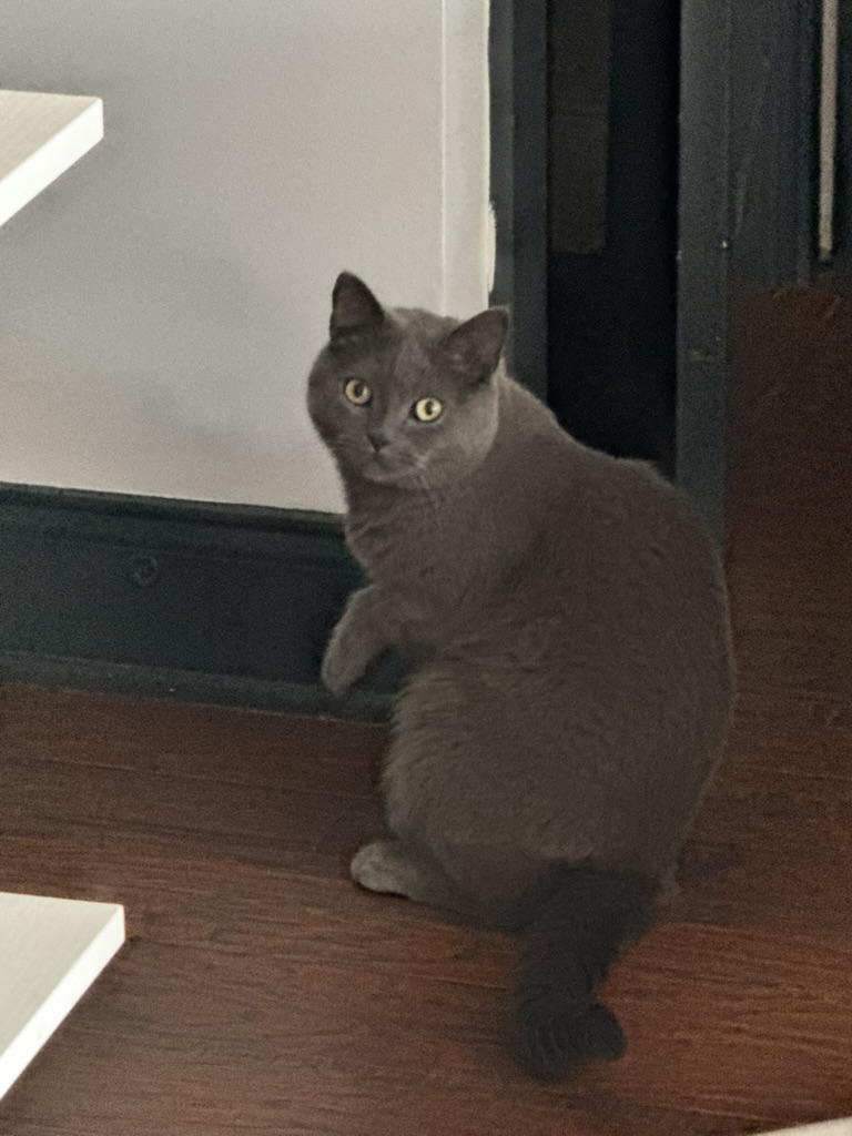 Day 4 of My Captivity: Prototype Posture