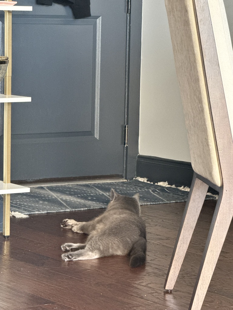 Day 5 of My Captivity: Structural Analysis
