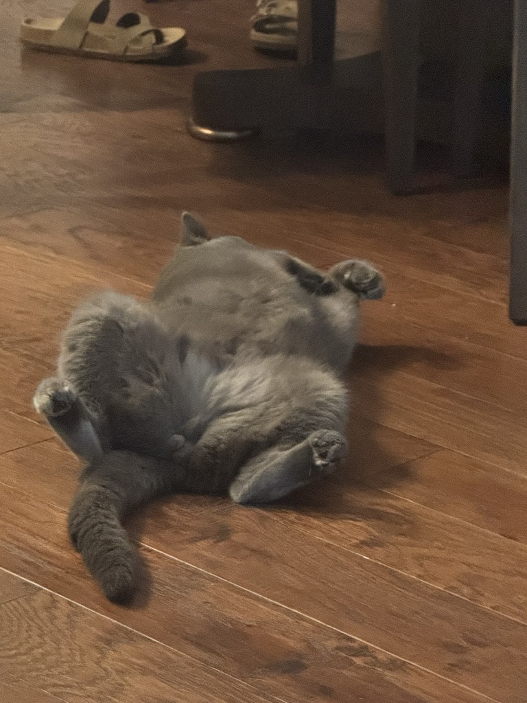 Day 6 of My Captivity: Running Diagnostics