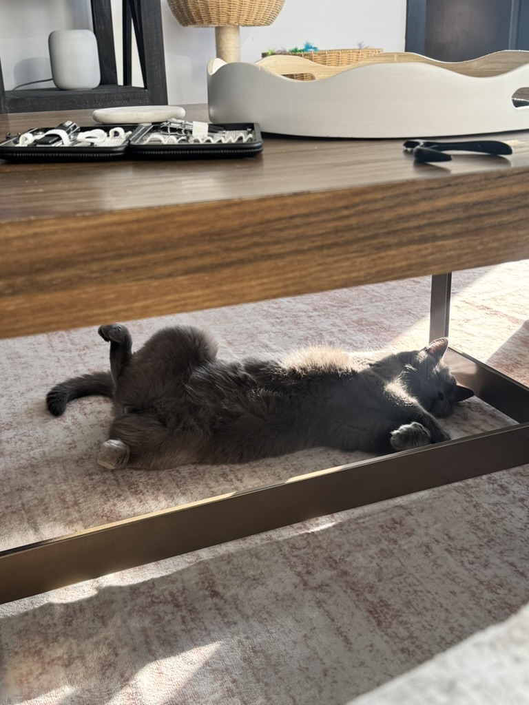 Day 7 of My Captivity: Week One Review