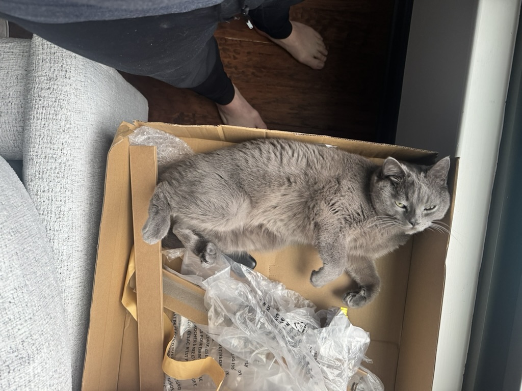 Day 8 of My Captivity: Incoming Shipment, Inspected